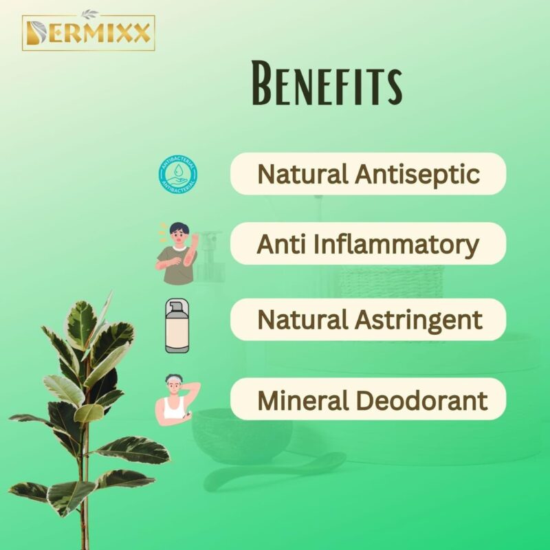 DERMIXX Alum Stone With Case-Fitkari Stone After Shave, Pure & Natural Alum Bar For Underarm Roll On Women, Travel Essentials For Men, Chemical Free Fitkari Alum Stone, Travel Soap, 100 Gm - Image 6