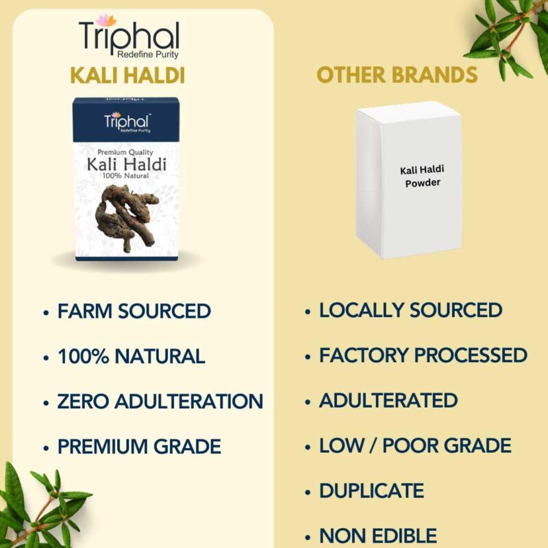 TRIPHAL BRAND Kali Haldi or Black Turmeric or Narkachur or Narkachoor | Raw and Natural (100 grams) - Image 3