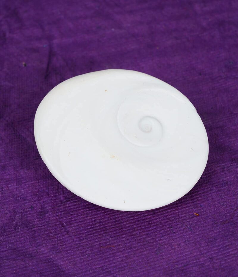 Raja Gomati Chakra 35 mm Big Size Original Natural Gomathi Chakram for Vishnu Mahalakshmi Pooja, Stone - Image 4