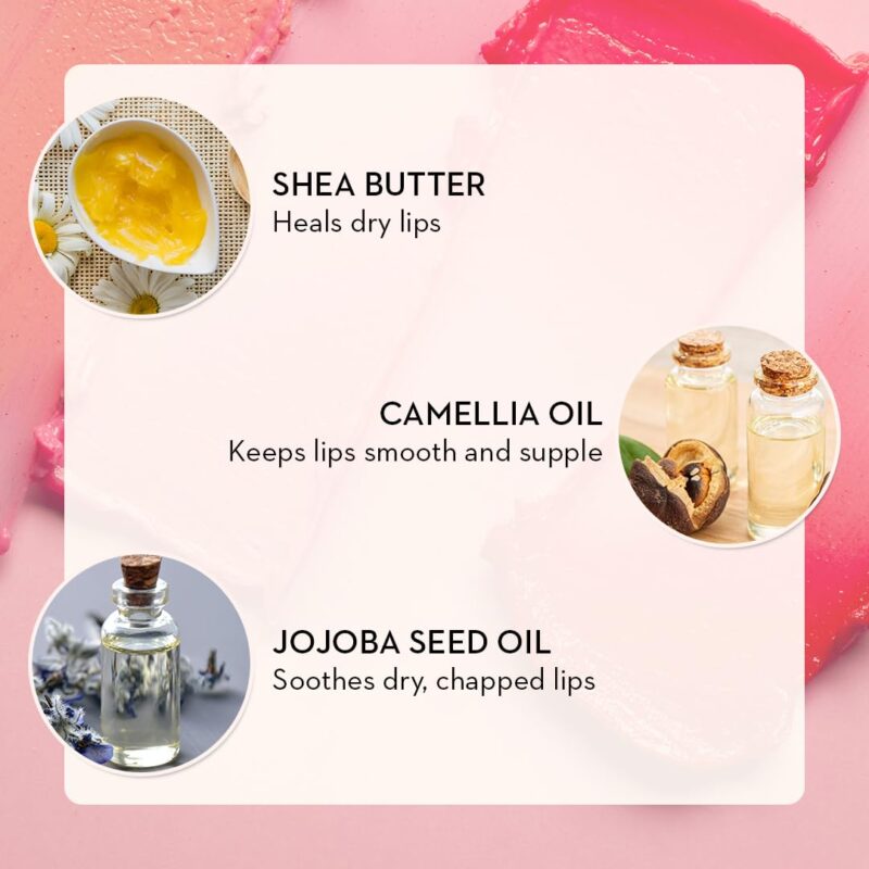 SUGAR Cosmetics Tipsy Lip Balm For Dry & Chapped Lips With Vitamin E, Shea Butter and Jojoba Oil | Lip Protection & Nourishment | LipBalm with SPF | 4.5gm - 02 Cosmopolitan - Image 4