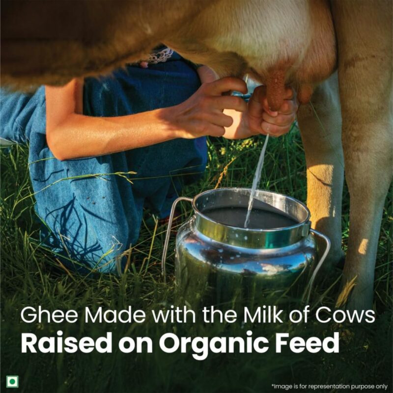 A TATA Product - Organic India Pure Cow Ghee, 500ml, Lab Tested on 600+ Parameters, Certified Organic, Glass Bottle, Sourced from Organically Fed Cows, Authentic Taste, Rich in Healthy Fat - Image 8