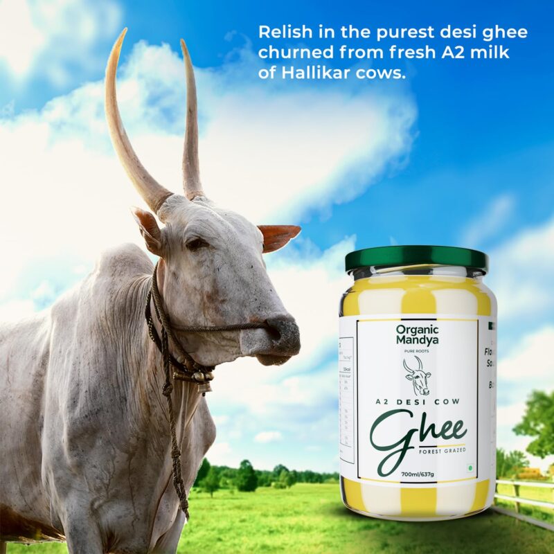 Organic Mandya Premium A2 Desi Ghee 700 ml | Pure, Natural & Health | Forest Grazed, Stress Free Cattle | Ethically Sourced | Glass Jar 700 ml - Image 8