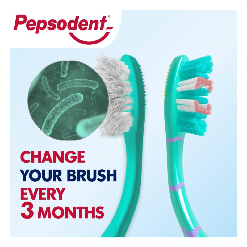 Pepsodent Gum Expert Toothbrush (Buy 2 Get 1 Free) - 3pc - Image 3
