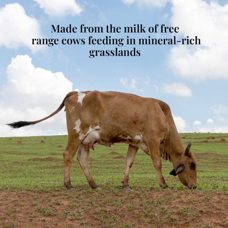 Himalayan Natives Original Cow Ghee 1L | 100% Natural & Preservative-Free | 100% Pure Desi Ghee | Strengthens Muscles - Image 2