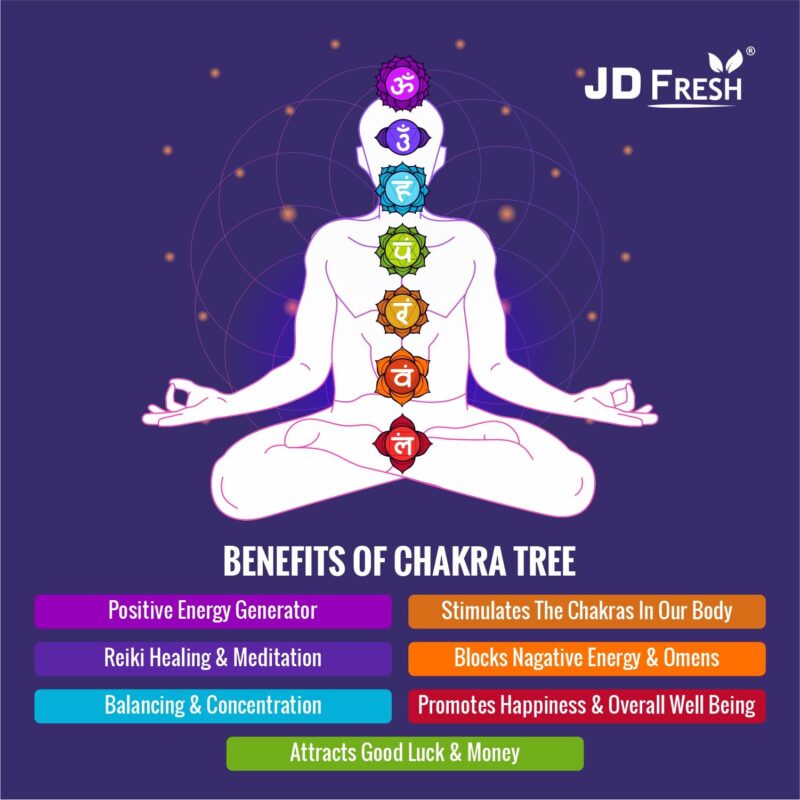 JD FRESH 300 Beads Crystal Tree/7 Chakra Crystal Tree/Showpiece Good Luck and Positive Energy/Showpiece for Living Room/Natural Healing Gemstones Money Tree/Lucky Tree for Good Luck (Multicolor) - Image 7