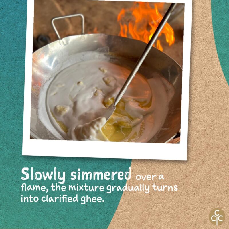 Conscious Food A2 Gir Cow Ghee | 600ml | with Pure A2 Milk | Grass-fed, Cultured, Premium & Traditional Bilona Ghee | Immunity Booster - Image 5