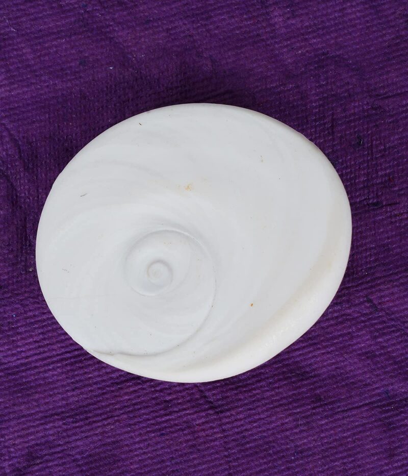 Raja Gomati Chakra 35 mm Big Size Original Natural Gomathi Chakram for Vishnu Mahalakshmi Pooja, Stone - Image 3