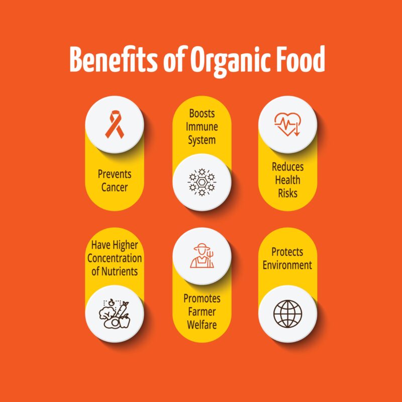 Pro Nature 100% Organic Jaggery Powder, 400g - Image 5