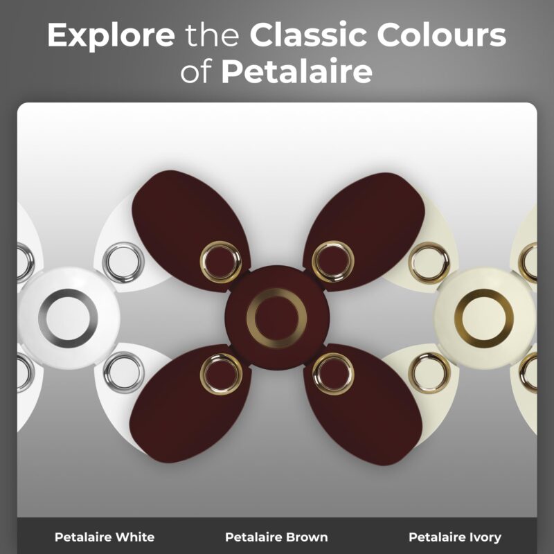 RR Signature PetalAire 600mm High Speed Ceiling Fan for Home and Office (3 + 2 Year Warranty, Ivory) - Image 6