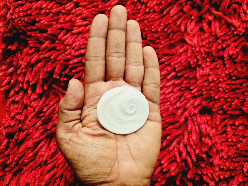 Jyotish Darshan Certified Gomati Chakra Big Size Original Natural Gomathi Chakram for Vishnu Mahalakshmi Pooja Stone |गोमती चक्र - Image 4
