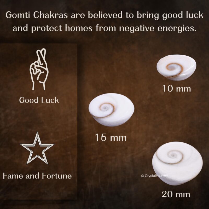 Certified Gomati Chakra Original River Stones - 11 Pieces Gomti Chakra Original from Gomathi River Dwarka (11 Pieces) - Image 6