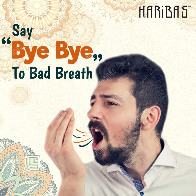 HARIBAS Mukhwas Mouth Freshener 5 in 1, 300GM with Sauf Mouth freshener, Green Saunf Mukhwas , Punjabi Mukhwas , Khas Chandan Mukhwas, Paan Mukhwas and Colorful Sauf | Premium Mukhwas Mouth Freshener - Image 2