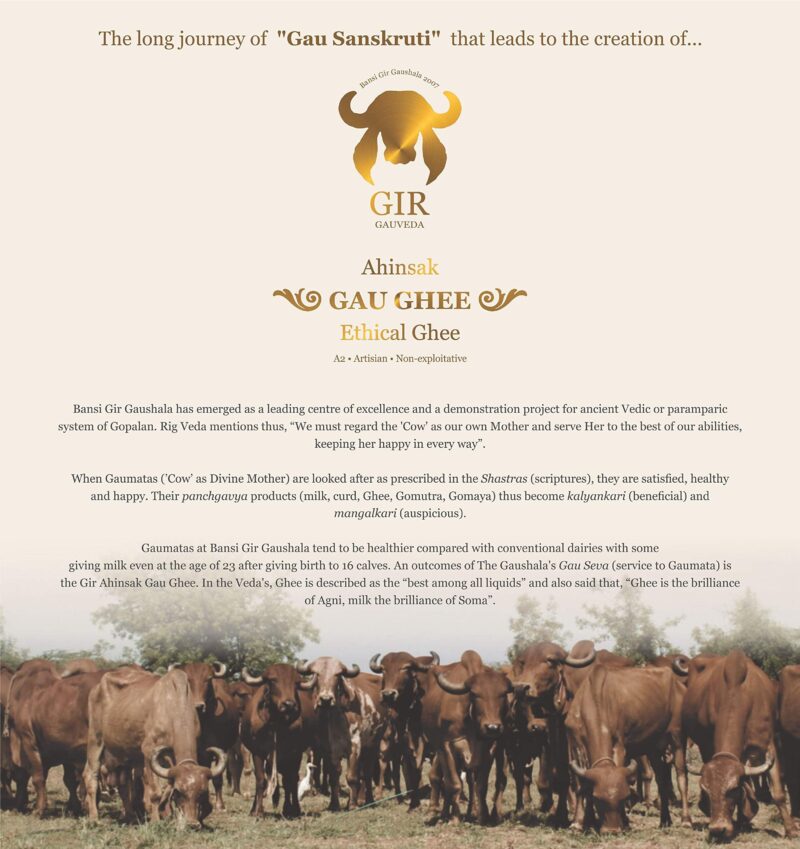 GIR Ahinsak Gau Ghee Vedic, Ethical, Desi Pure Breed Gaumata (A2), Bilona, Grass-Fed, Non-Gmo Good For Health, 500 Ml - Image 3