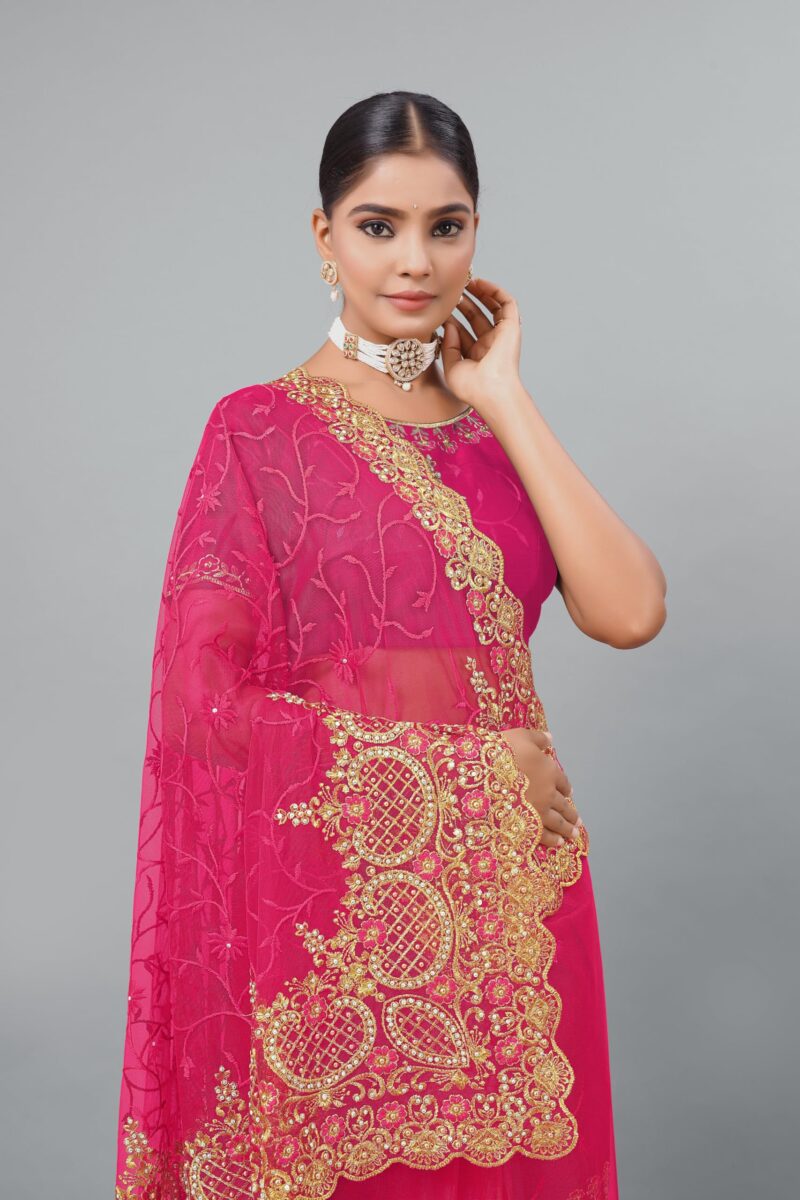 KHRITI FAB Women's New Embroidery Net Sari With Unstitched Blouse Piece(Free Size) (Gajari) - Image 3