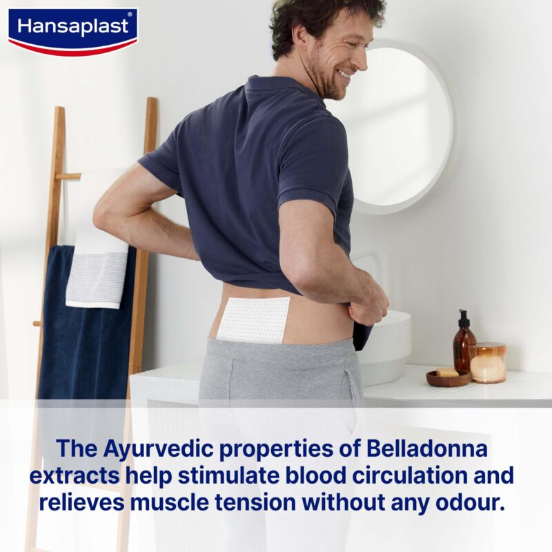 Hansaplast Lion Plaster 270's Sheets - Image 2