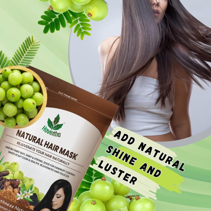 Havintha Hair Mask For Hair Fall Growth Split Ends Luster Shining Nourishment | Hair Mask for Dry and Frizzy Hair | Herbal Hair Mask & Natural Cleanser| Controls Dandruff Hair Mask - 227 Grams - Fresh - Image 4