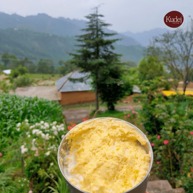 Kudej Himalayan Desi Badri Cow Pure A2 Ghee from Uttrakhand - 100% Bilona Churned Premium Cultured Ghee, Made using Ancient Vedic Processes, 250ML Glass Bottle with Sustainable Packaging - Image 5