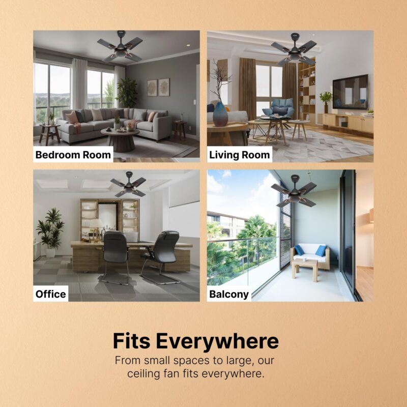 Candes Brio Turbo 600 mm / 24 Inch High Speed 4 Blade Anti-Dust Ceiling Fan Suitable for Kitchen/Veranda/Balcony/Small Room (Pack of 1,Smoke Brown) - Image 3