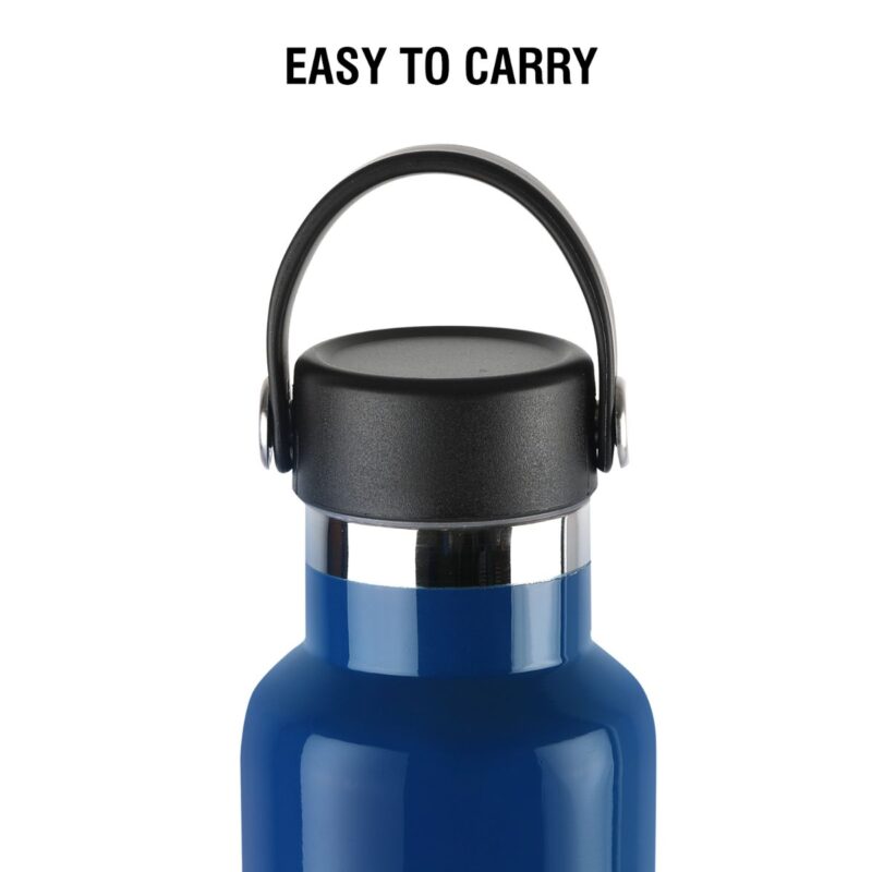 Aqua Bliss Flask, Vacusteel Water Bottle - Image 32