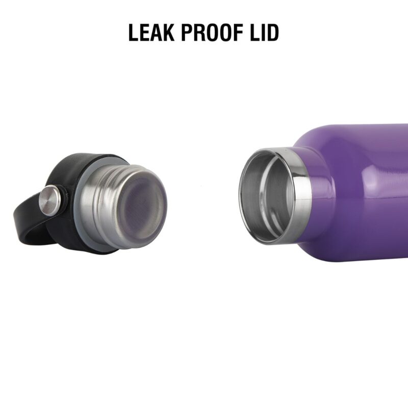 Aqua Bliss Flask, Vacusteel Water Bottle, 600ml - Image 25
