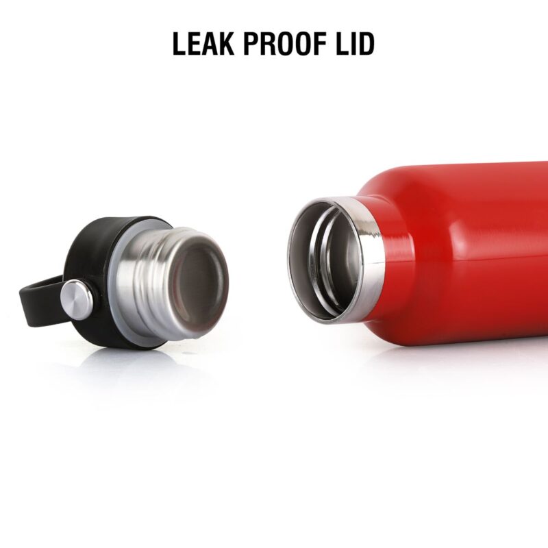 Aqua Bliss Flask, Vacusteel Water Bottle - Image 45