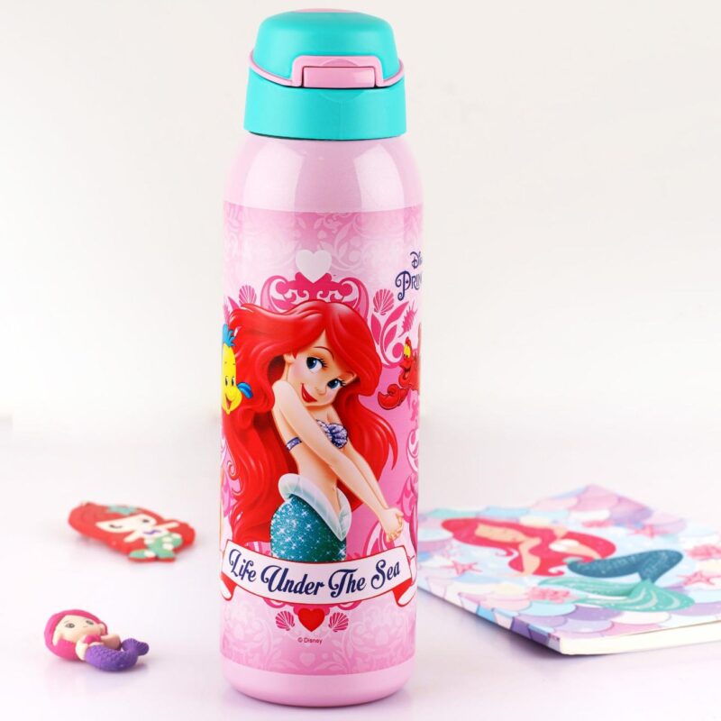 Gym-Star Toons Hot & Cold Stainless Steel Kids Water Bottle, 650ml - Image 24