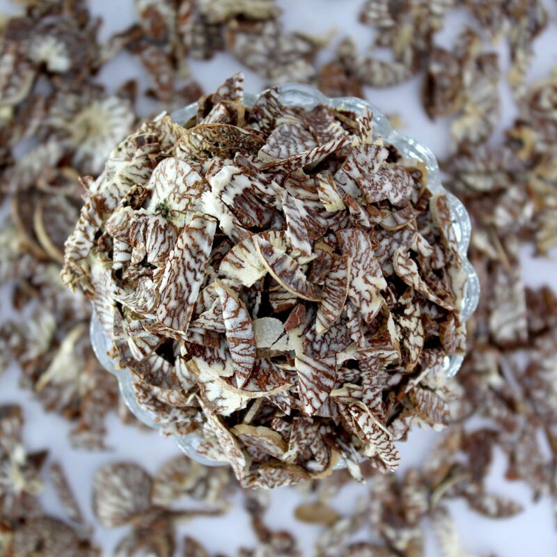 Swiss Naturals Sliced Areca Nut 400g [Cutting Supari/Betel Nut] - Image 5