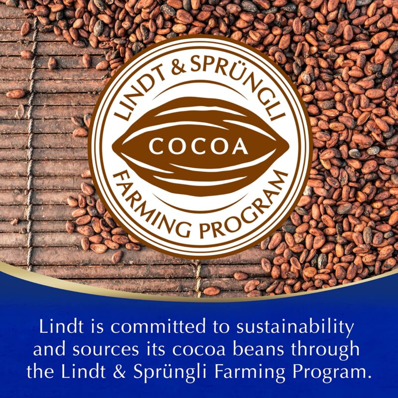 Lindt Hot Chocolate • Made with Lindt Chocolate, 10.58 oz ℮ 300 g - Image 5