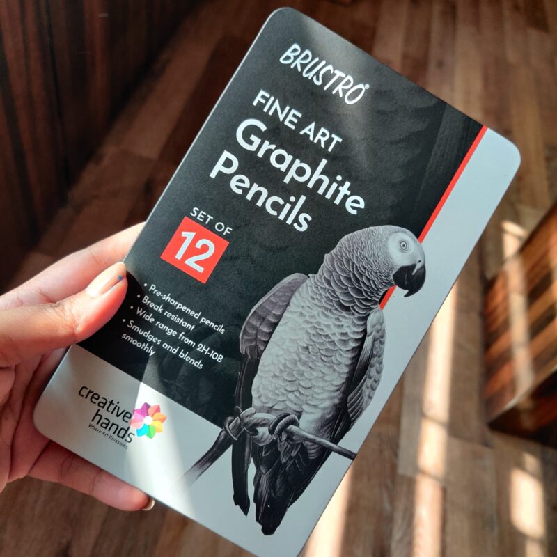 BRUSTRO Artists ’ FINEART Graphite Pencil Set of 12 (10B-2H) with Brustro Artists Sketchbook A6 Size Wiro Bound 116 Pages 160 GSM