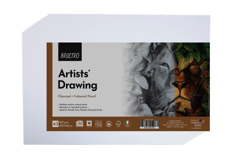 Brustro Artists Drawing Paper 160 GSM A3 Size, Pack of 30 Sheets
