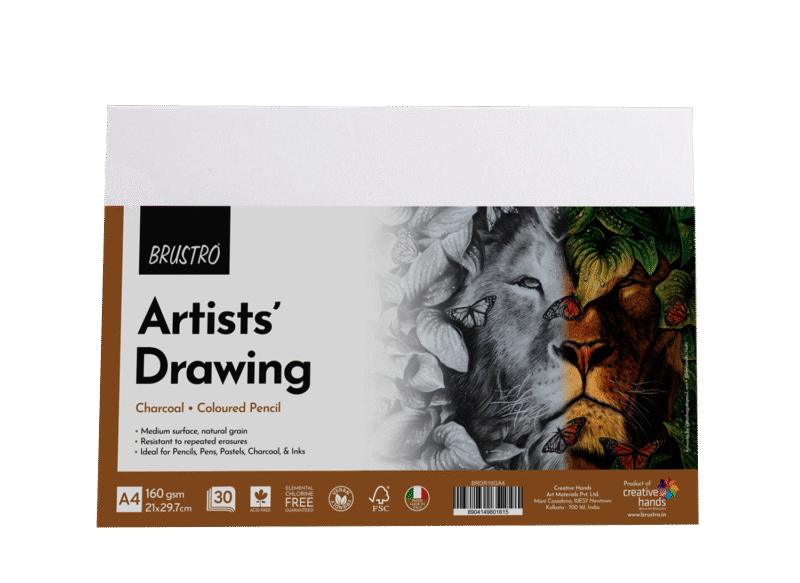 BRUSTRO Artist's Drawing Papers | 160 GSM, A4, Pack of 30 Sheets | Ideal for Students,Adults, Coloring, Art, Craft, Natural Grain, Graphite, Charcoal, Pastels, Sketching, Shading, Drawing and Portrait - Image 4