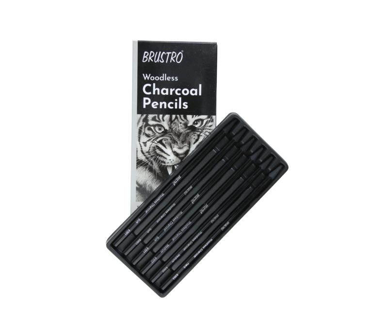Brustro Woodless Charcoal Pencil Set of 6 (3 Soft, 2 Medium, 1 Hard) - Image 9