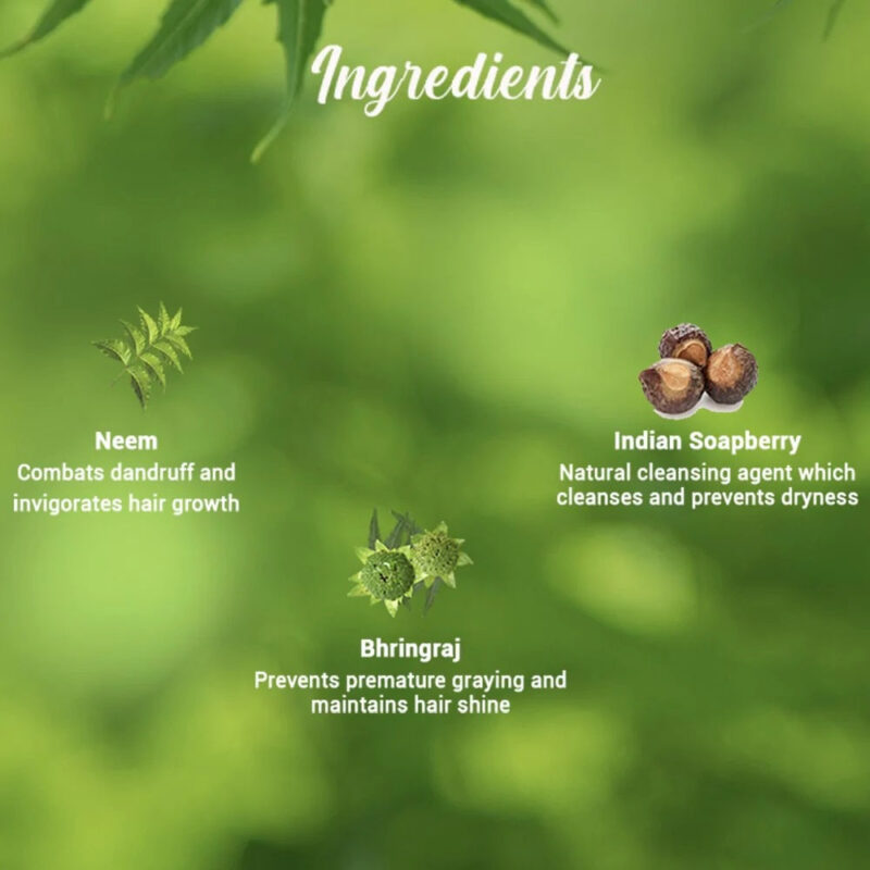 Biotique Fresh Neem Anti-Dandruff Shampoo With Conditioner - Image 6