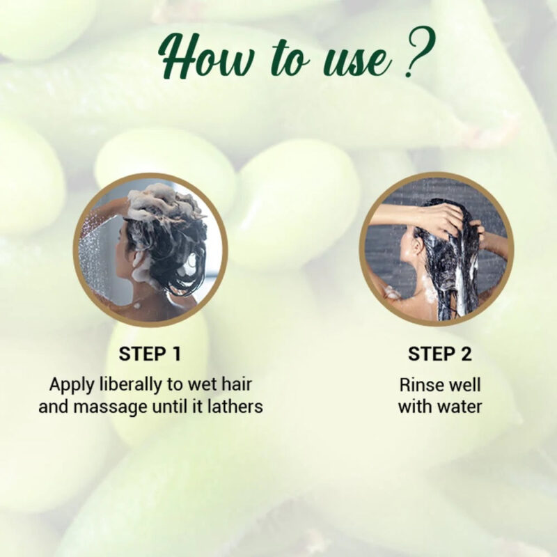 Biotique Soya Protein Intense Repair Shampoo for Dry, Damaged & Color Treated Hair - Image 7