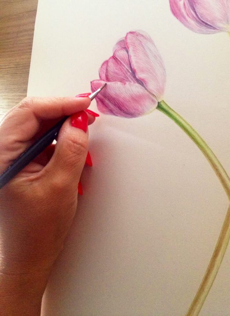 Brustro Artists Watercolour Paper, 300 GSM, A4-25% Cotton Hot Pressed, 9 Sheets - Image 3