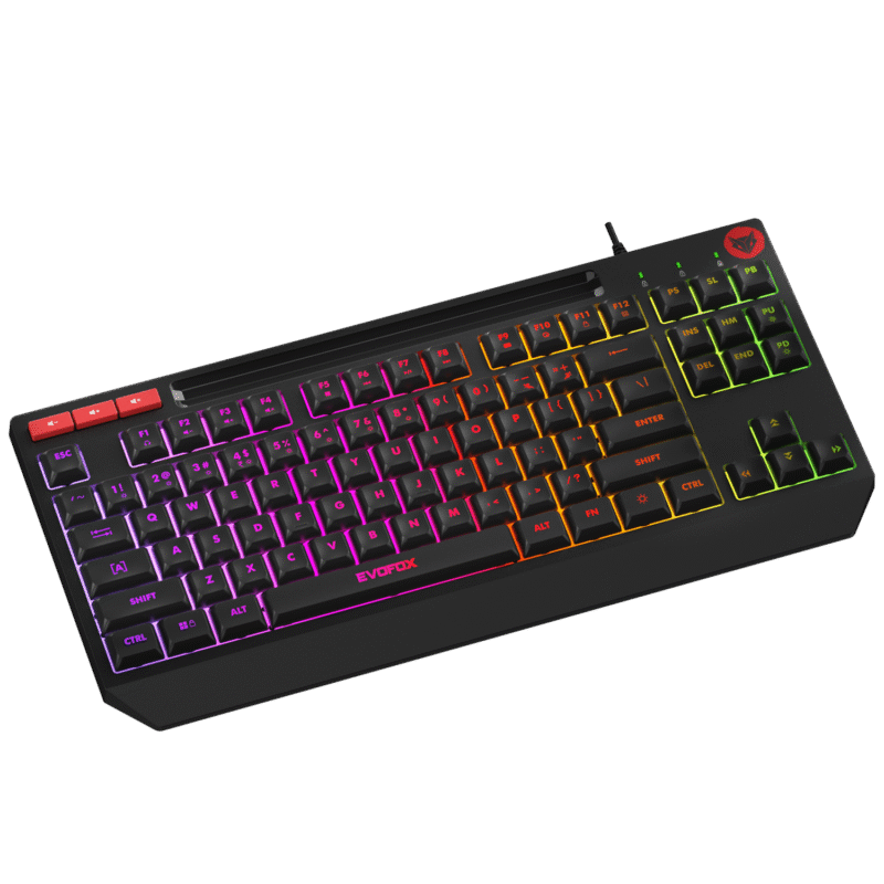 EvoFox Deathray TKL RGB Gaming Keyboard