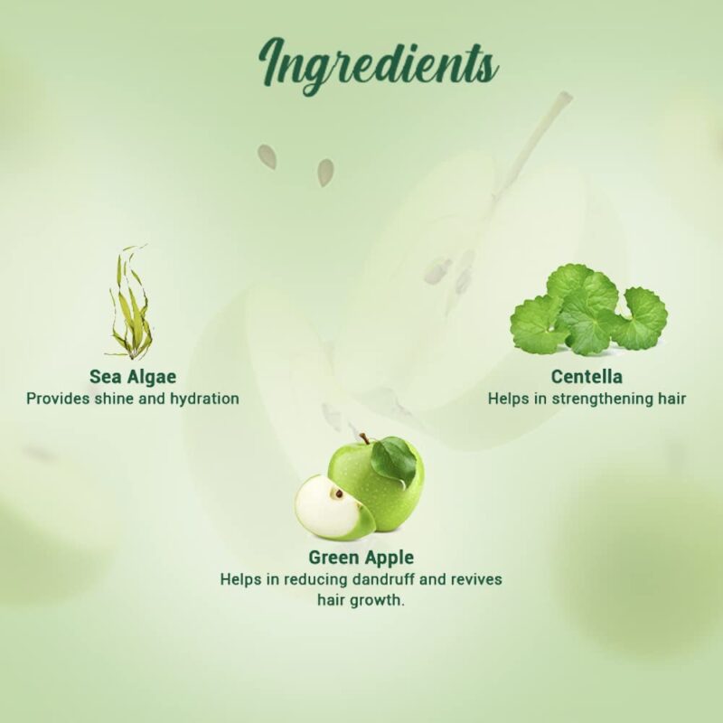 Biotique Green Apple Shine & Gloss Shampoo & Conditioner For Glossy Healthy Hair - Image 18