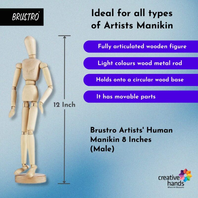 BRUSTRO Manikins (12 Inch Male & Female) - Image 3