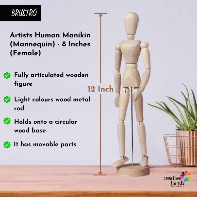 BRUSTRO Manikins (12 Inch Male & Female) - Image 4