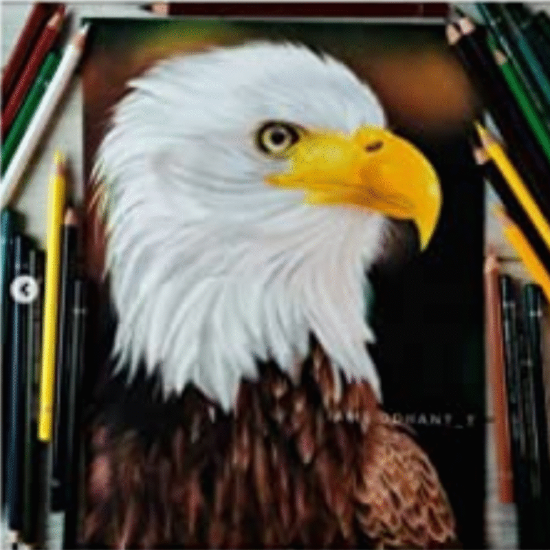 BRUSTRO Artists Watercolour Pencil Set of 72 in Elegant tin Box - Image 10