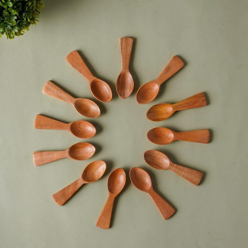 Neem Wood Condiments Spoon - Set of 12 - Image 3