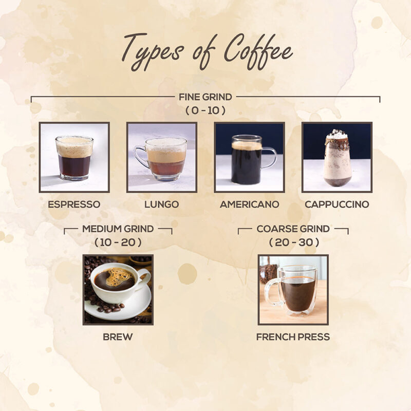 Regalia Electric Coffee Grinder | Burr Grinder | 31 Grinding Settings | Set Variable Coffee Texture, Fine, Medium, Coarse | Grind Beans for Espresso, Lungo, Americano, Cappuccino, Brew, French Press | Perfect Gifting Option | 2 Year Warranty - Image 3