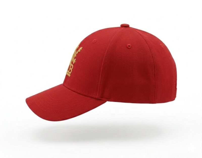 NPRC Cap with Gold Embroidered Lion Logo, Cricket Fan Merchandise - Image 2