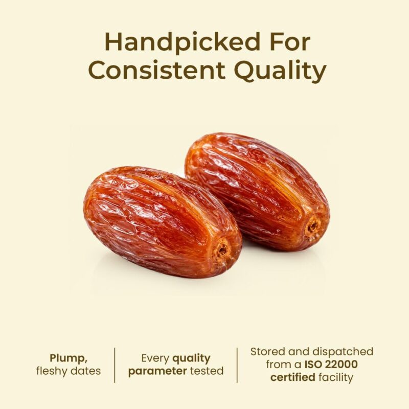 Bolas Seedless Tunisian Dates 400g | Khajur/Khajoor | Naturally Sweet | No Added Sugar | No Preservatives | Rich in Fibre & Vitamins | Healthy Snack - Image 3