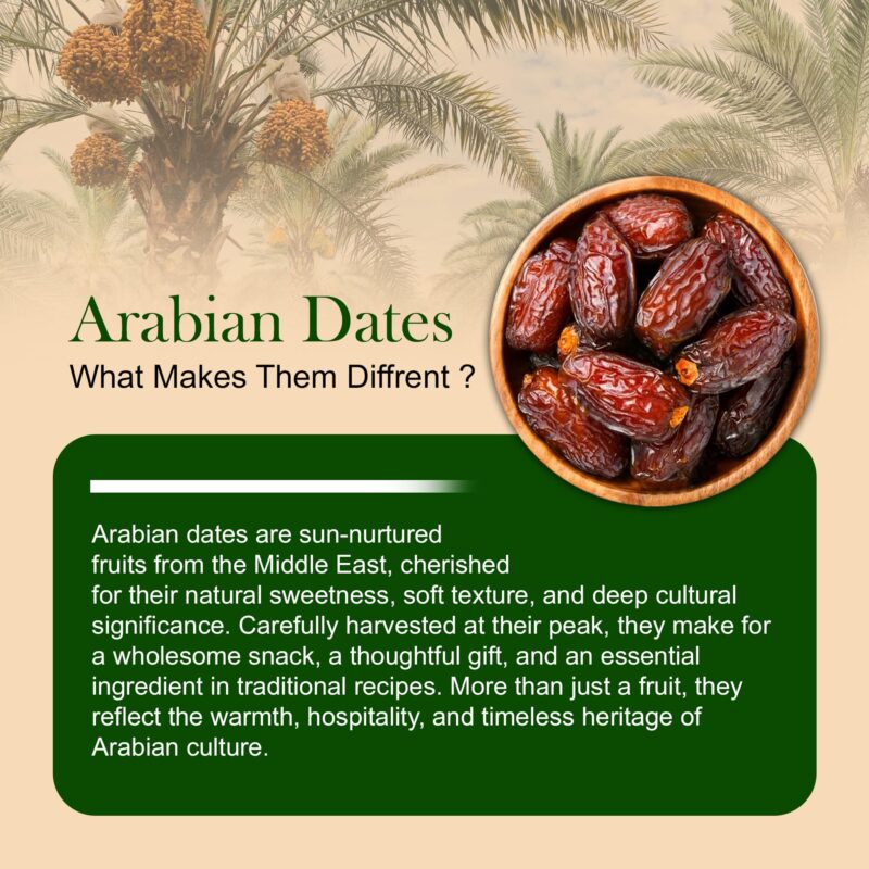 Nature's Choice Arabian Premium Dates 500g | Khajoor/Khajur | Soft Khejur - Image 3