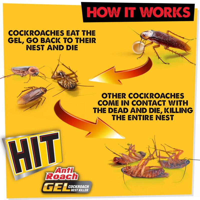 Hit Anti Roach Gel - Cockroach Killer (20G) | Kitchen Safe | Odourless | Fast And Convenient, Pack Of 1 - Image 6