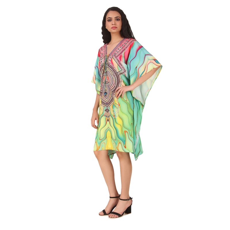 RAVI RAJORIA Georgette Digital Printed Beach Wear Kaftan Blue Free Size R800 | Multi Color 2 | Free Size - Image 5